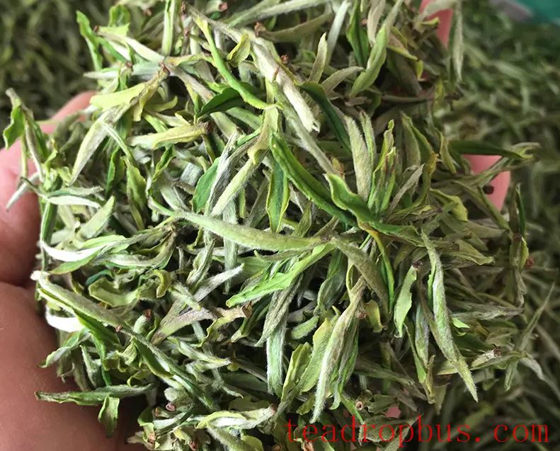 Key Points for Storing Tea: What Aspects to Pay Attention to When Storing Tea-1