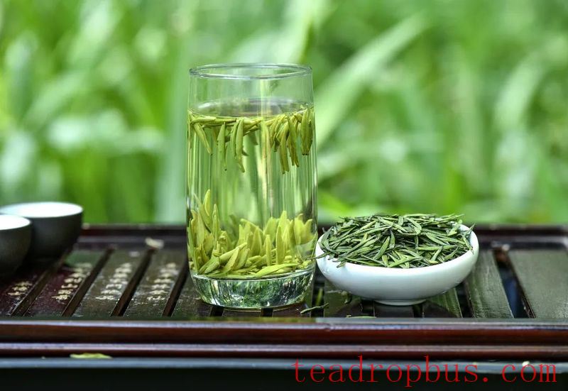 40°C Heat: Your Tea Leaves Are Also Afraid of High Temperatures-6