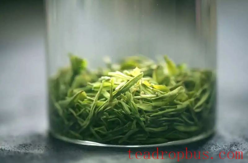These Five Types of People Should Drink More Tea, Especially Green Tea-1