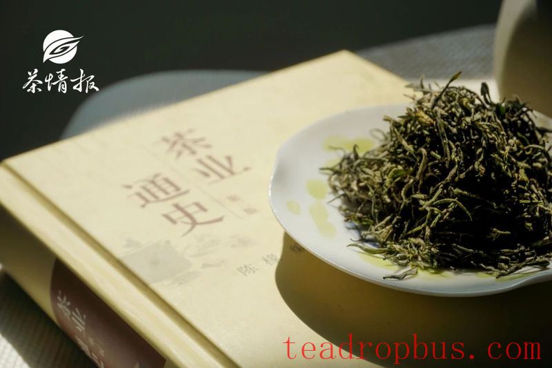 The Wrong Way to Store Green Tea: Trouble is Brewing-2