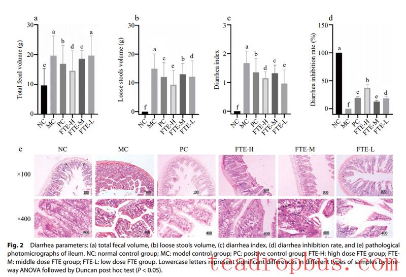 Academician Zhonghua Liu's Team: The Mechanism of Fu Brick Tea Against Diarrhea-1