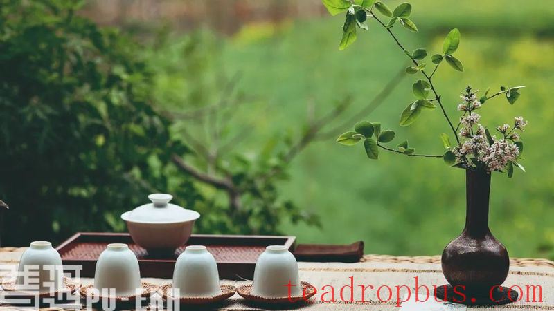 Origin Storage: Bringing More Yunnan Flavor to Pu'er Tea-3
