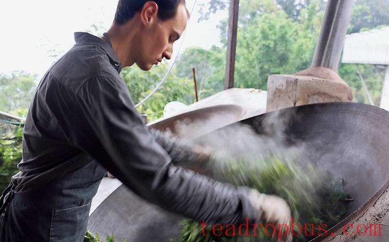 What are the health components in Pu'er tea?-2