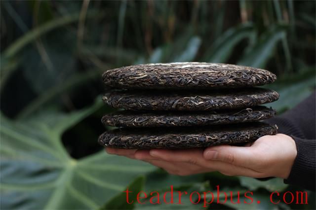Pu'er Tea Home Storage Methods-2