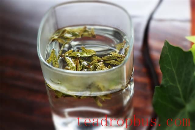 Why Drink Green Tea in Summer?-2
