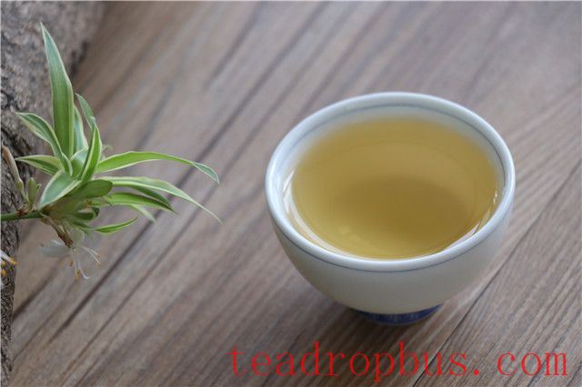 Why is Early Spring Tea Mild in Flavor?-3