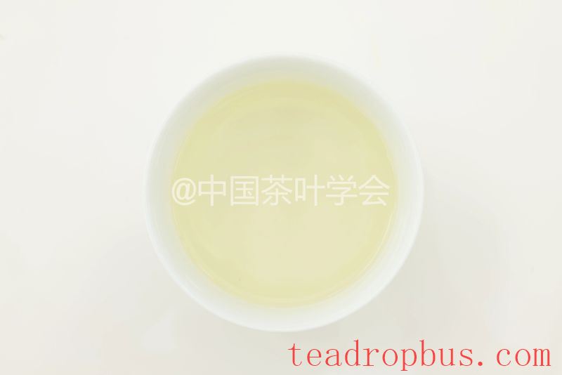 Weekly Tea Knowledge: I Know the Fresh Taste! Let's Talk About the Whitening and Yellowing of Tea Leaves ①-15