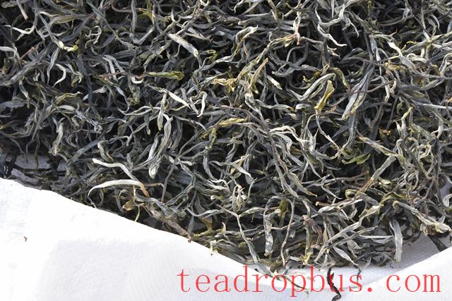Tips for Selecting Pu'er Tea and Precautions to Take When Buying It-2