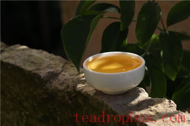 Characteristics of Pu'er Shengcha Aged for 10 Years-4