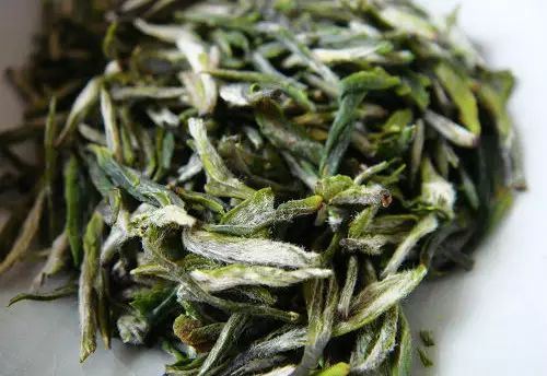 What is Yangxian Xueya Tea?-3