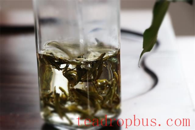 What are the methods to distinguish between fresh and old tea?-3