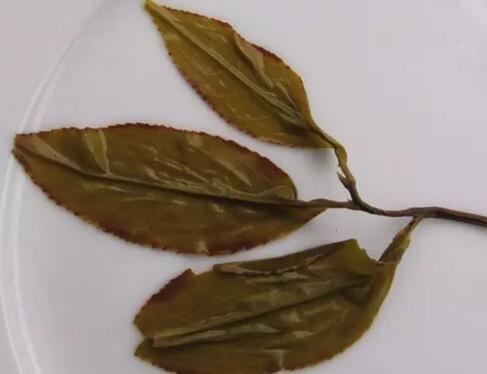 Playing with the tea leaves after drinking is the mark of a true expert!-5