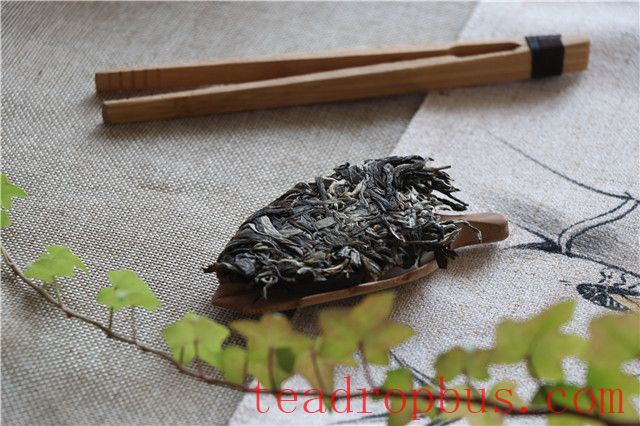 Distinguishing the Quality of Sheng Pu'er Tea-2