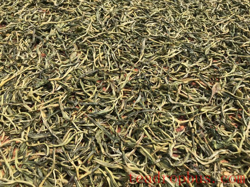 Price of 2024 Mengsong Huzhuliangzi Spring Tea-3