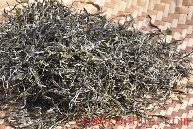Characteristics of Bingdao Dijie Ancient Tree Tea-2
