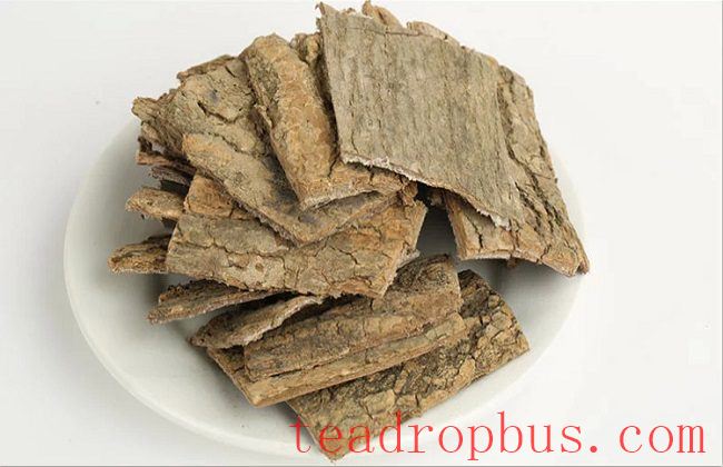 The Benefits and Preparation Method of Eucommia Bark Tea-3