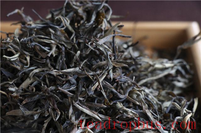Puer Raw Loose Tea: Suitable for Long-Term Storage?-1