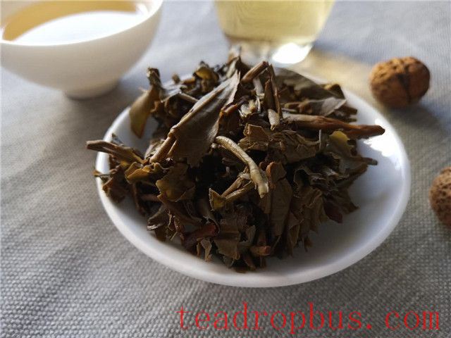 Lao Xu on Tea: Fermenting Sheng Pu'er to Mimic Aged Tea - How to Spot the Fakes by Aroma, Infusion, and Leaf?-4