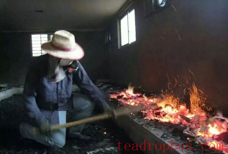 Why is the genuine cassia aroma of Cinnamon (Rougui) becoming increasingly rare?-3