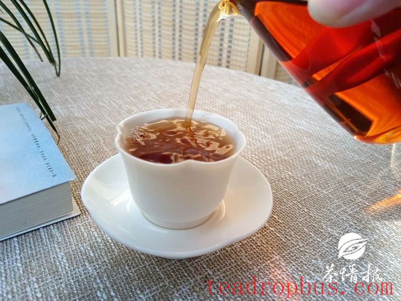 Dry Goods! As the Rainy Season Rages, How Should Pu'er Tea Be Stored in Different Regions?-1