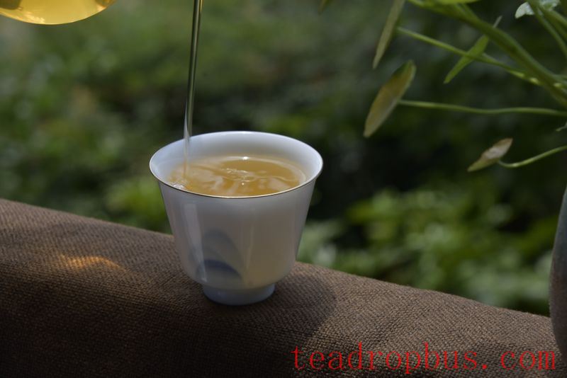 What Are the Benefits of Drinking Tea? Five Advantages That Will Make You Fall in Love with Tea!-4