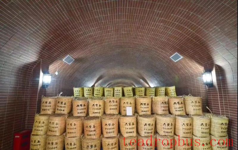 Understanding the Aging and Production Dates of Liubao Tea-4