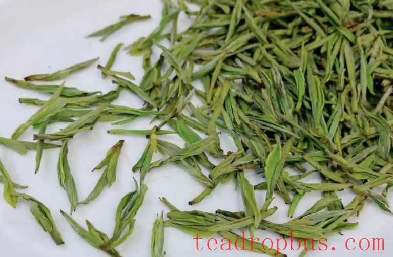 The shelf life of tea: How long does it last and can you drink it after it expires?-3