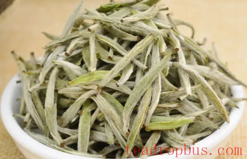 The Efficacy and Nutritional Value of White Tea-2