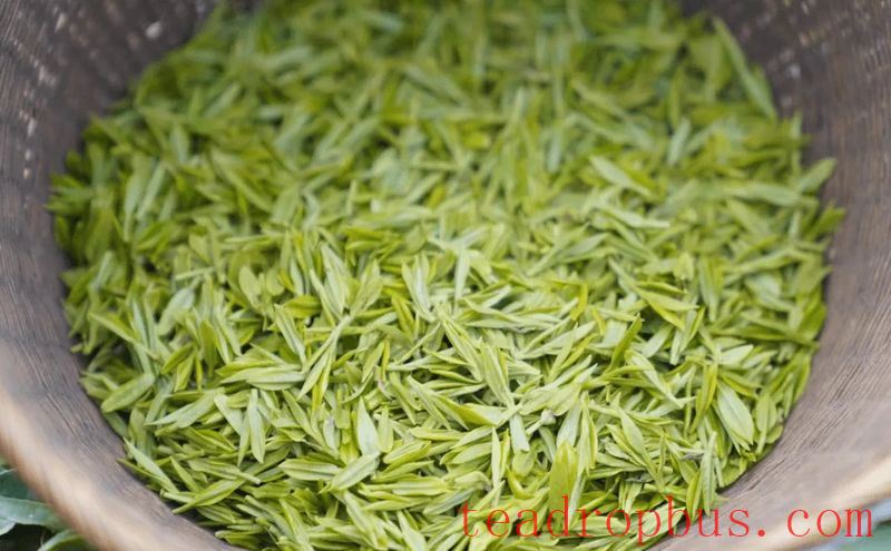 What Components Are Rich in Tea Leaves?-2