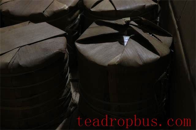 Puer Tea Needs to be Stored in the Fridge?-3
