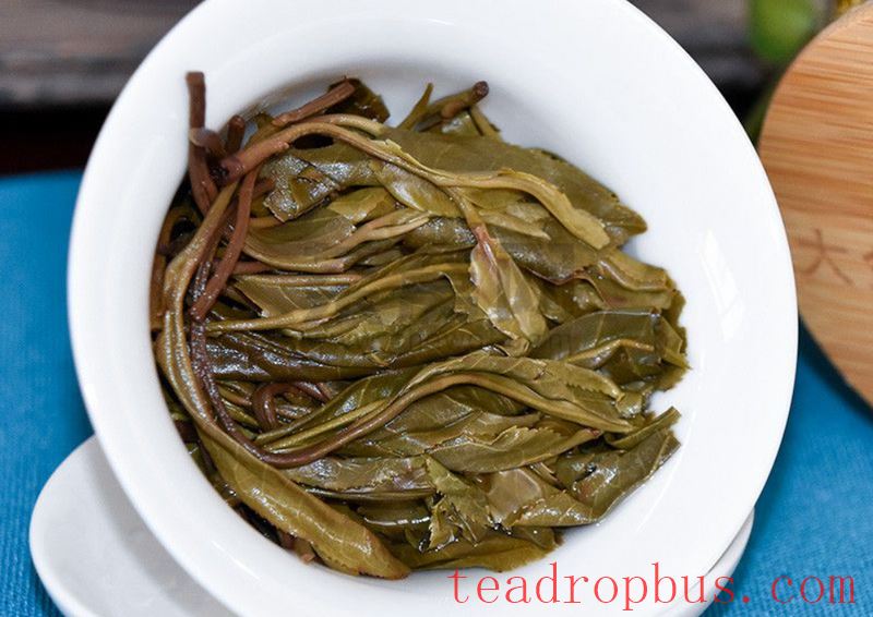Characteristics of the Rhinoceros Pond Ancient Tree Tea-4