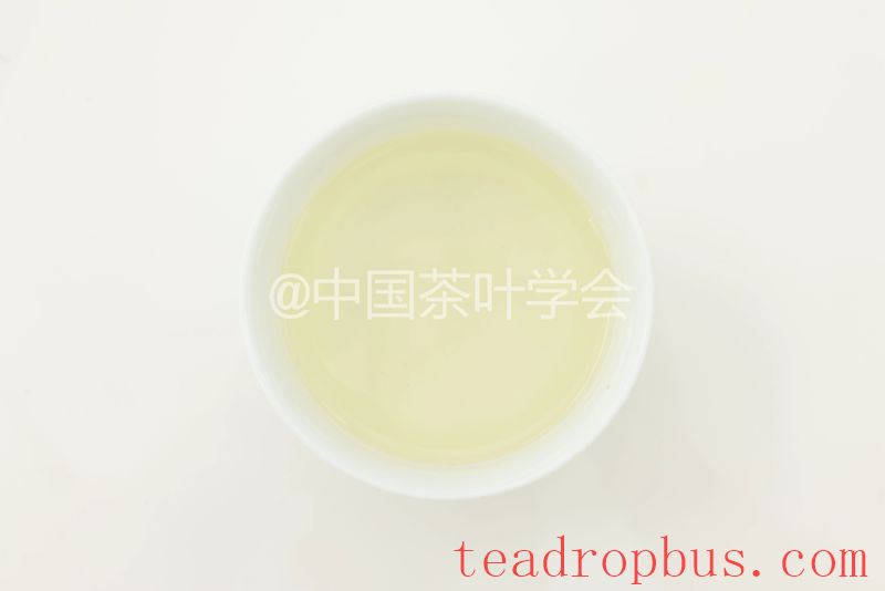 Weekly Tea Knowledge: I Know the Fresh Taste! Let's Talk About the Whitening and Yellowing of Tea Leaves ①-12