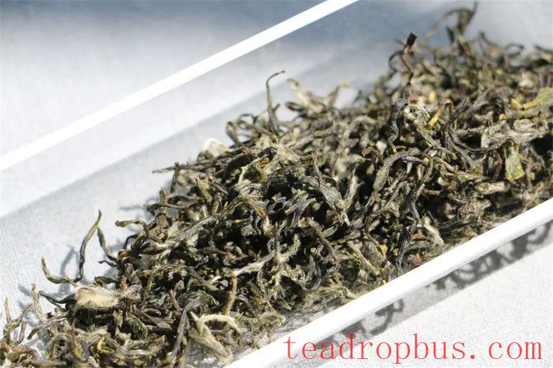 Dongting Biluochun: Pre-Equinox, Pre-Ming, or Pre-Grain Rain—Which Is Better and Which Should You Buy?-7