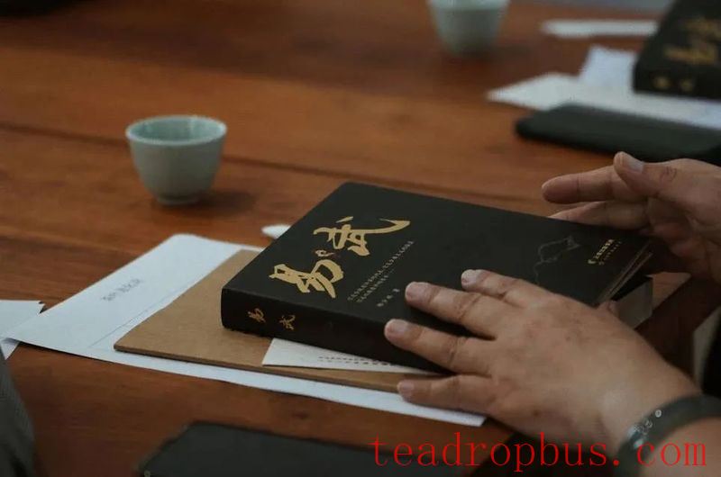 The Storage Cycle of Yiwu Green Bud Tea, Tea Evolution Salon Record No.12 (Part Three)-4
