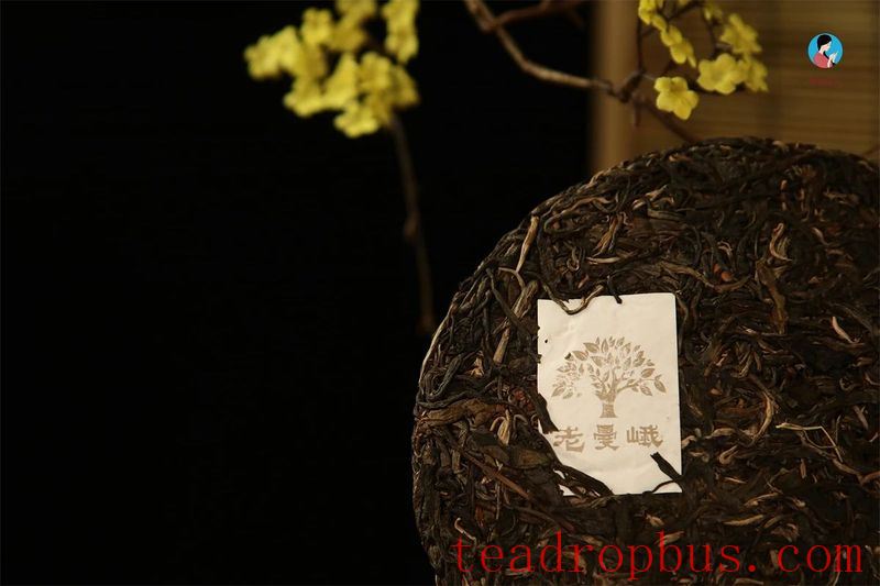 Can the Vintage of Pu'er Tea Be Determined by Its Characteristics?-7