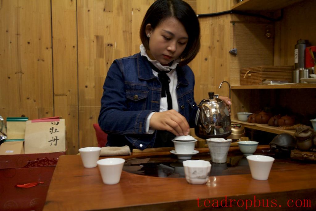 tea tasting in Shanghai