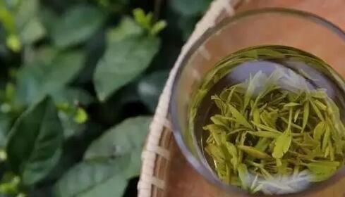 Nine Taboos of Tea Drinking: Don't Hurt Yourself!-9-ChinaTeaGuru: Exploring Chinese Tea Culture and Kung Fu Tea - Tea Art, Tea Ceremony, Tea Knowledge Nine Taboos of Tea Drinking: Don't Hurt Yourself!-9