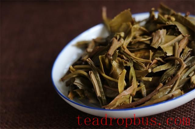 Lao Xu on Tea: Fermenting Sheng Pu'er to Mimic Aged Tea - How to Spot the Fakes by Aroma, Infusion, and Leaf?-2