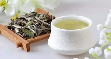 Ten Things About White Tea – How Many Do You Know?-4-ChinaTeaGuru: Exploring Chinese Tea Culture and Kung Fu Tea - Tea Art, Tea Ceremony, Tea Knowledge Ten Things About White Tea – How Many Do You Know?-4