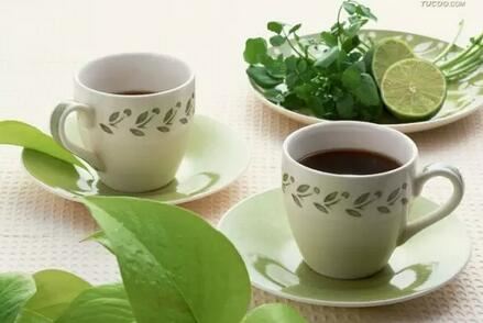 Is Drinking Tea Good for Your Kidneys?-1-ChinaTeaGuru: Exploring Chinese Tea Culture and Kung Fu Tea - Tea Art, Tea Ceremony, Tea Knowledge Is Drinking Tea Good for Your Kidneys?-1