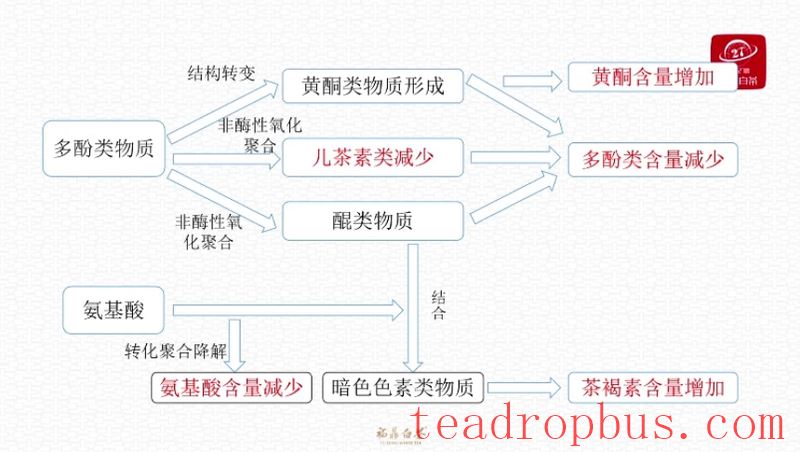 How to Store White Tea Properly? Interpretation of the Standards for Household Storage of White Tea!-4