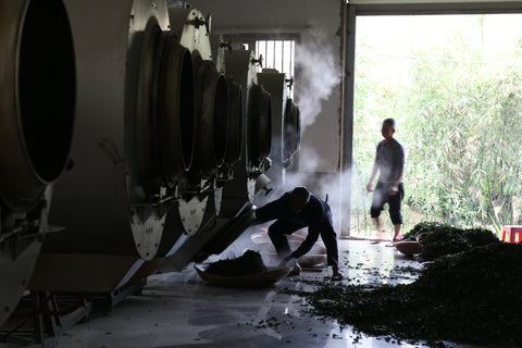 Sha Qing, "kill the green"