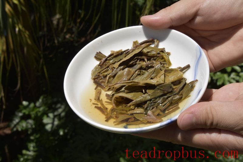 Kunming Warehouse Pu'er Tea: What's the Taste Profile?-4
