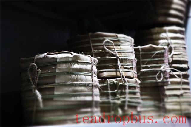 Puer Tea Storage Mistakes – Have You Made Them?-2