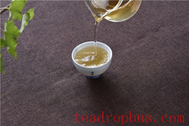 What are the functions of tea polyphenols?-2