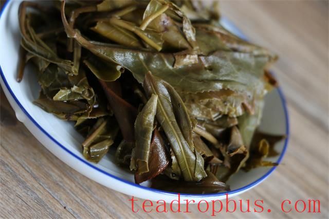 Tea Leaves Residue Isn't Useless—See if You Can Turn Waste into Treasure!-3