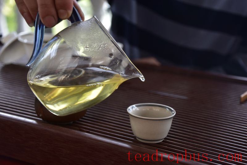 What Are the Benefits of Drinking Ancient Tree Tea for Your Health?-3