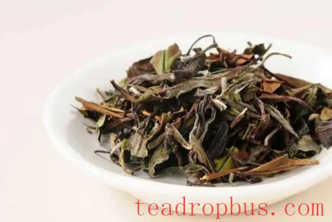 Fuding White Tea Knowledge Compilation: Loose Leaf or Cake Tea, Which to Choose?-5