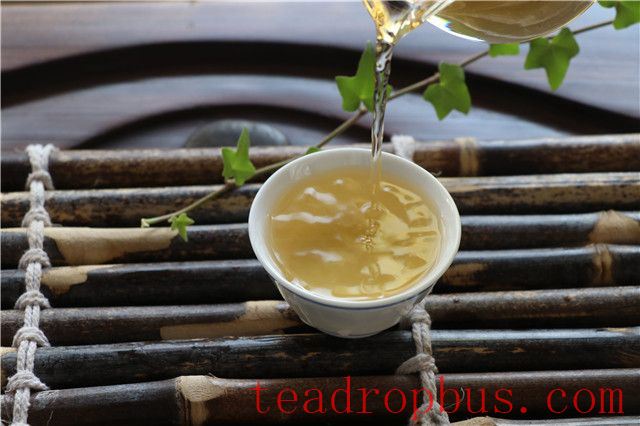 Bingdao Nanpo Ancient Tree Tea-3