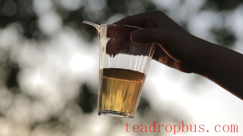 Judging Tea by Its Broth: Tasting Wuyi Rock Tea This Way!-3
